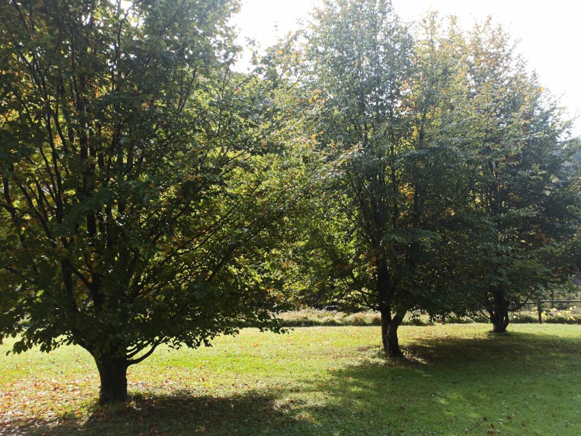 Il Bosco Di Campo Marzano Sunlight Appartement Borzonasca Buitenkant foto
