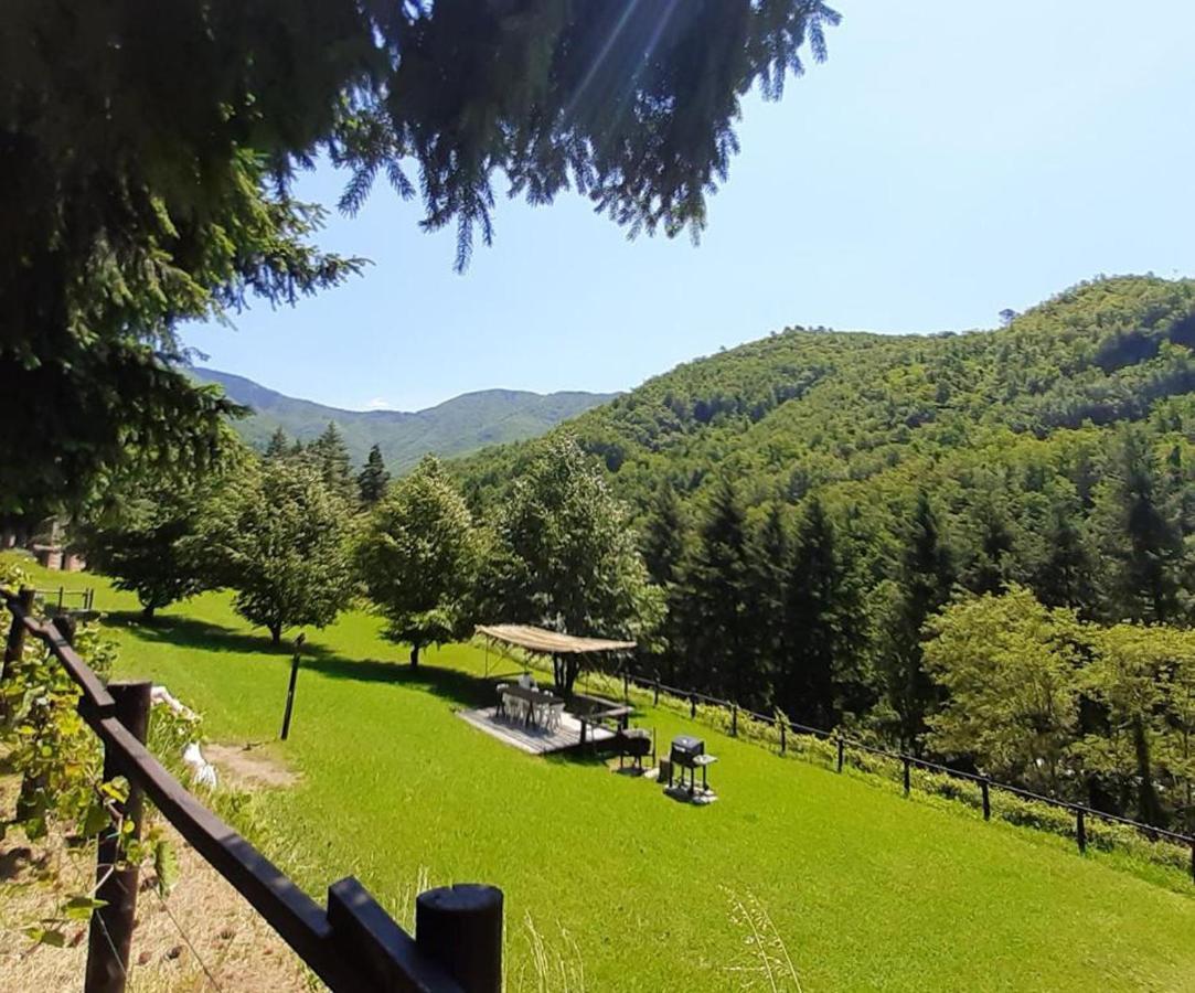 Il Bosco Di Campo Marzano Sunlight Appartement Borzonasca Buitenkant foto