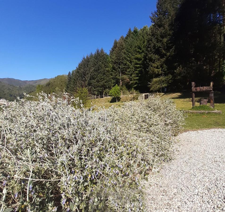Il Bosco Di Campo Marzano Sunlight Appartement Borzonasca Buitenkant foto